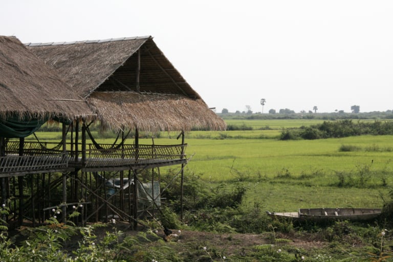 Cambodian plains